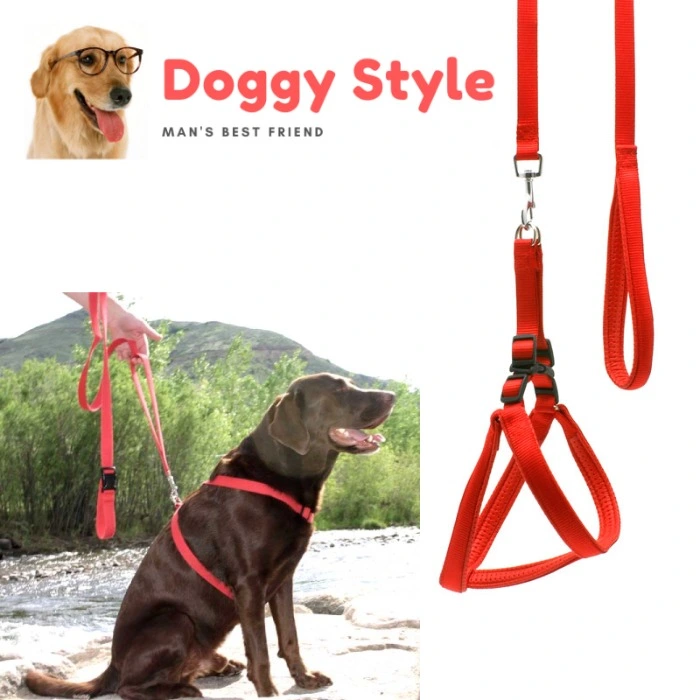 PET ACCESSORIES ef_pc_petc0v671p00148 in Sri Lanka